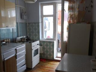 Сдается 1комн меблированная квартира в районе Ориона