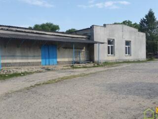 Под произво-тво 1000 м2 на 62 сотках, центр с. Бравича, р-н Калараш