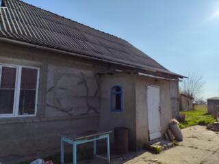 Дом