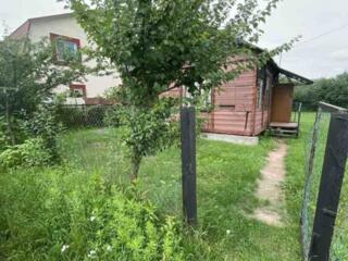 продаж ділянка сільськогосподарського призначення Бориспільський, Богд