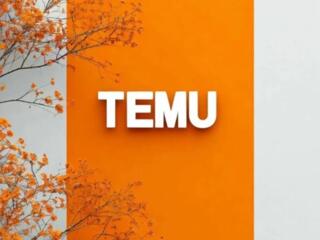 Делаю заказы с Temy