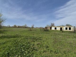 Шикарная дача 34 сотки есть газ, свет, вода рядом лес