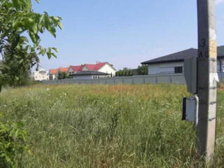 продаж ділянка під житлову забудову Бучанський, Дмитрівка, 56000 $