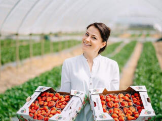 Работа в Германии по сбору клубники!