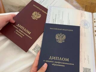 Дипломные и курсовые работы