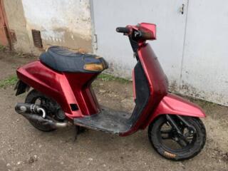 Honda tack af09 65cc