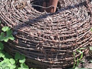 Колючая проволока