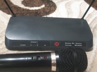 MIC