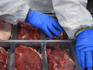 Хорошая работа в Германии! Город Мюнстер.