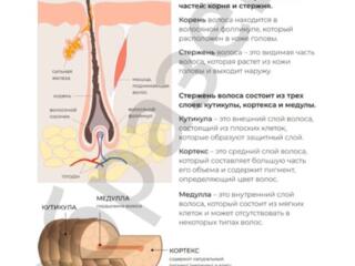 Учебное пособие по наращиванию ресниц