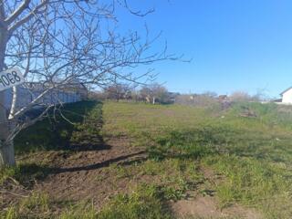 Продается земельный участок в Одесской области! Овидиопольский район, 