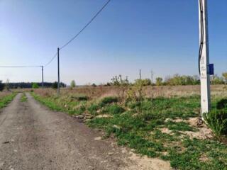 продаж ділянка під житлову забудову Бучанський, Білогородка, 12000 $