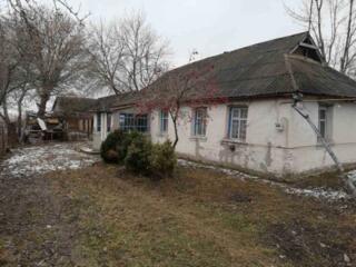 продаж 5-к будинок Білоцерківський, Пустоварівка, 350000 грн.