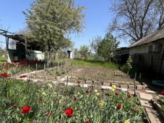 Продается участок 10 соток на Красных Казармах