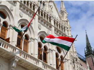 Вакансии в Венгрии. С быстрым выездом.