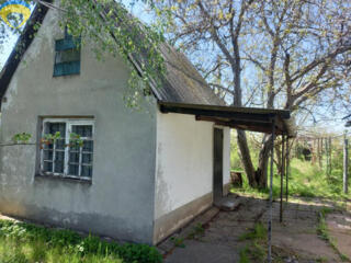 Два дома на участке в Светлом