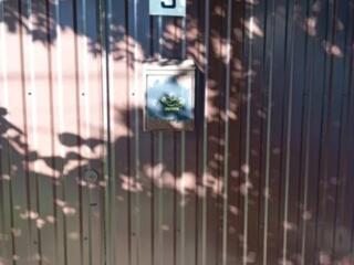 Дом с участком 5, 5 соток ЧУБАЕВКА