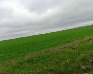 Предлагается к продаже земельный участок общей площадью 18 соток, в ..