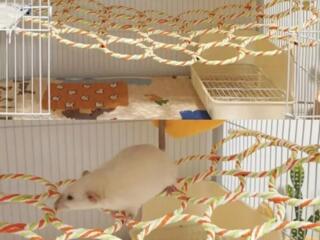 Аксессуары для обустройства клеток и вольеров