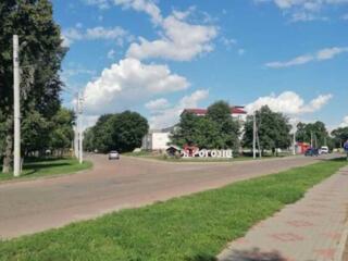 продаж ділянка під житлову забудову Бориспільський, Рогозів, 1600 $