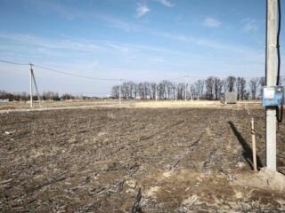 продаж ділянка під житлову забудову Бучанський, Білогородка, 12800 $