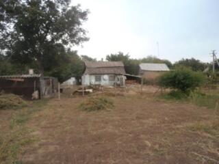 Привлекательный дом с большим участком в популярной курортной зоне ...