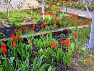 Продажа уютного дома капитального строительства! Этот дом находится в 