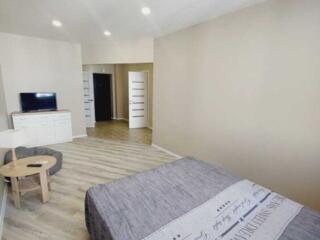 довгострокова оренда 1-к квартира Бучанський, Петропавлівська Борщагів