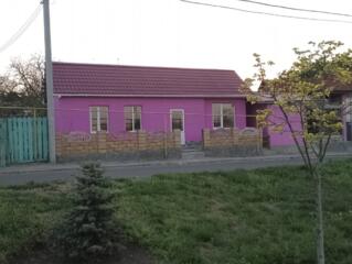 Сдам новое отдельно стоящее помещение в самом Центре Тира