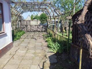 Дом в центре Паркан