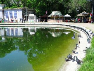 2 ком с ремонтом в центре