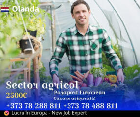 Lucru în Olanda - mezeluri, sere, fructe și legume!