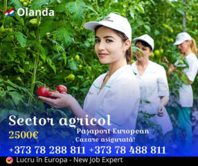 Lucru în Olanda - mezeluri, sere, fructe și legume!