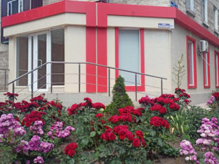 Продаю помещение (арендный бизнес) в сердце Рыбницы