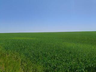 Продается угловой участок правильной формы в с. Великий Дальник ...