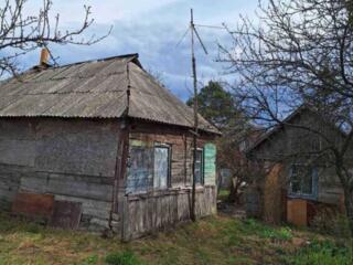 продаж 1-к будинок Фастівський, Новосілки, 650000 грн.