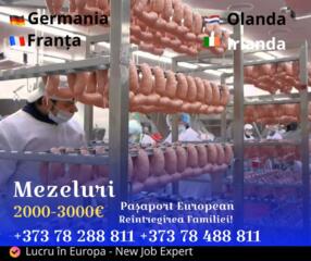 Lucru în Olanda și Germania - mezeluri, sere, fructe și legume!