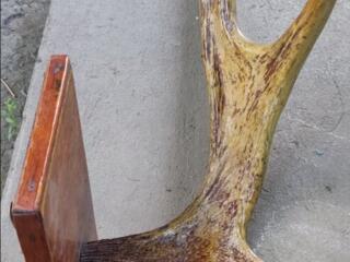 Продаю декоративный охотничий трофей настоящий рог — 100 ₽