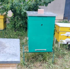 Ульи + пчелосемьи!!!  