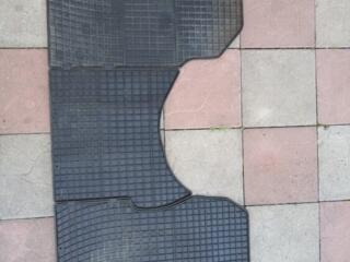 Спринтер Дельфин