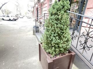 Продам фасадное коммерческое помещение на ул. Дворянской.