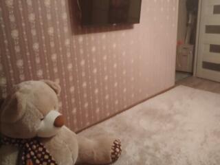 Медведь качество Турция