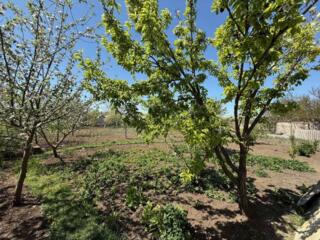 Продается одноэтажный капитальный дом в с.Причерноморское ...