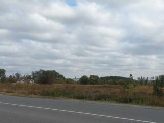 продаж ділянка під житлову забудову Бучанський, Гостомель, 10000 $