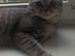 Красивый, брутал ищет невесту