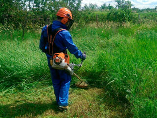 Покос травы