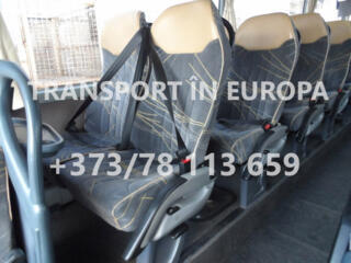 Belgia, Germania, Olanda, Cehia, Slovacia. Transport pasageri