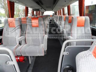 Zilnic - Germania, Belgia, Olanda, Austria, Luxemburg, Cehia, Slovacia