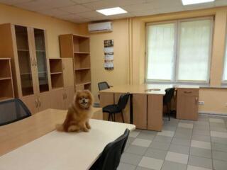 довгострокова оренда офісне приміщення Київ, Оболонський, 20500 грн./м