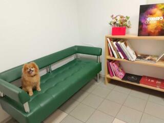 довгострокова оренда офісне приміщення Київ, Оболонський, 28500 грн./м